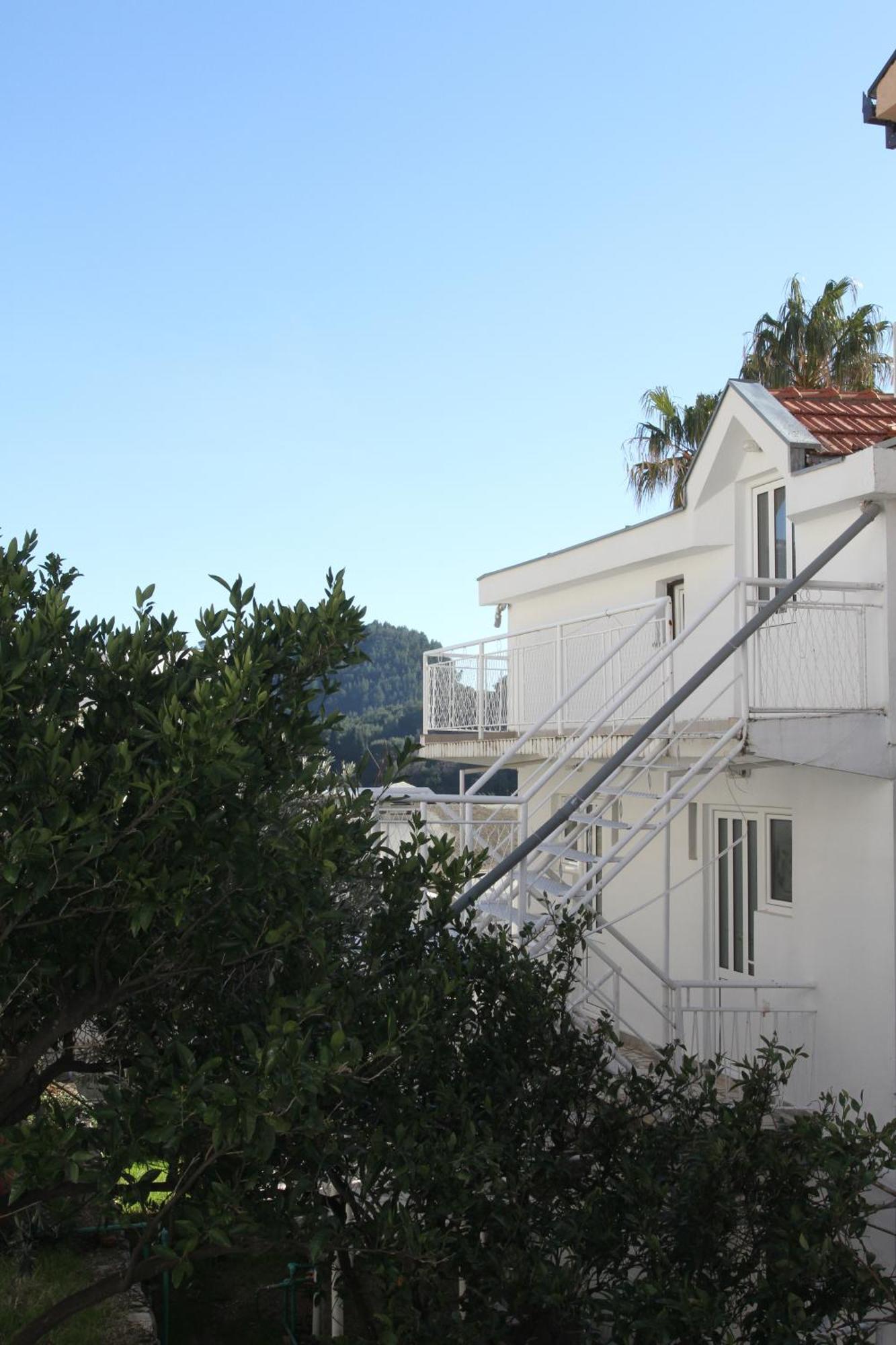 Apartments Popovic Petrovac エクステリア 写真