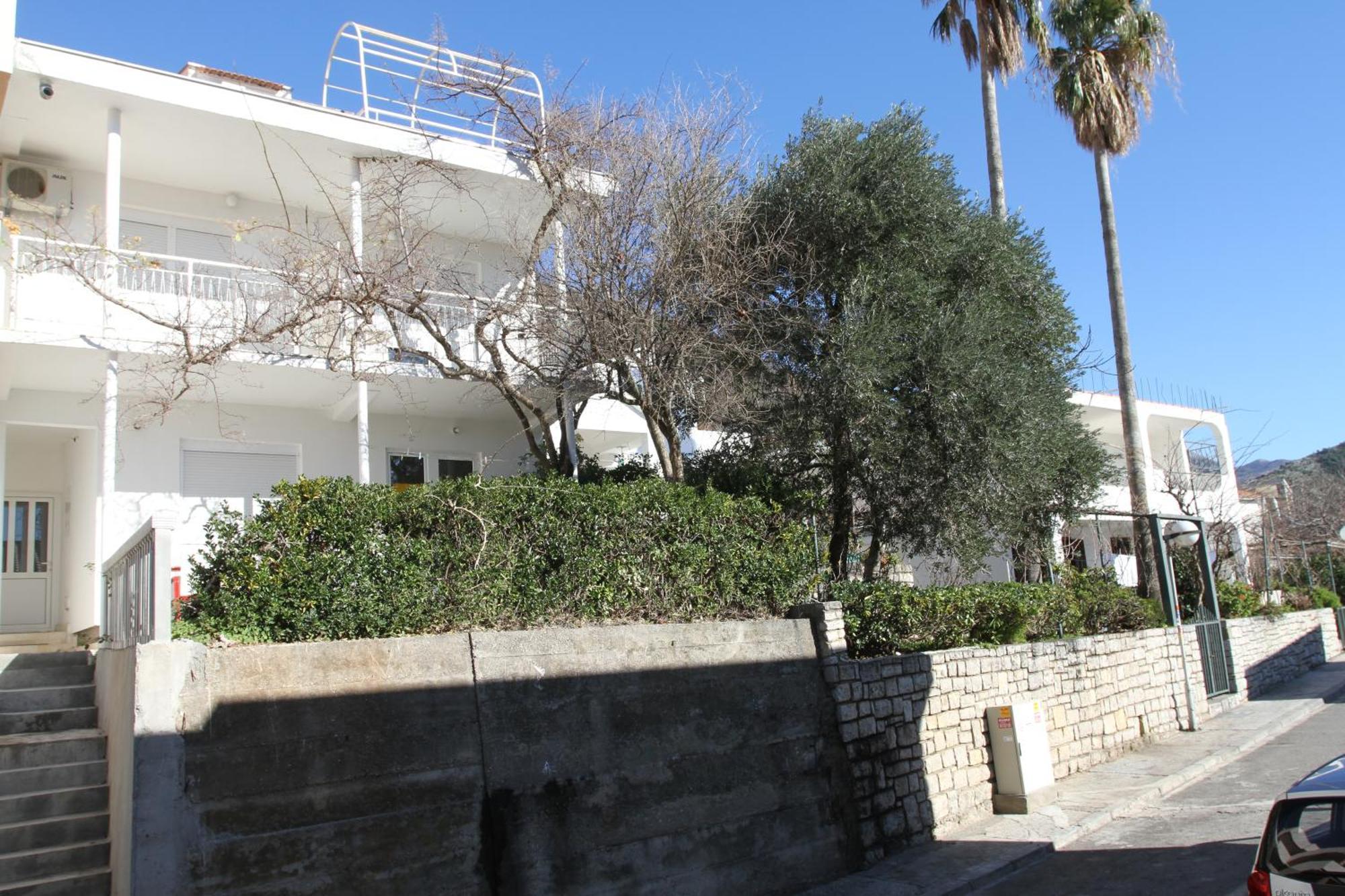 Apartments Popovic Petrovac エクステリア 写真