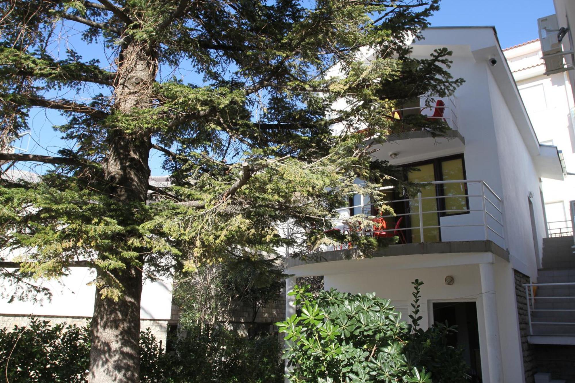 Apartments Popovic Petrovac エクステリア 写真